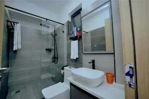 Real Estate Airbnb (1203)