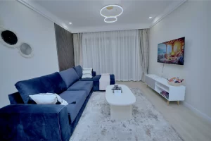 Real Estate Airbnb (2478)