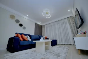 Real Estate Airbnb (2620)