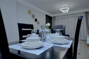 Real Estate Airbnb (651)