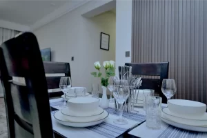 Real Estate Airbnb (917)